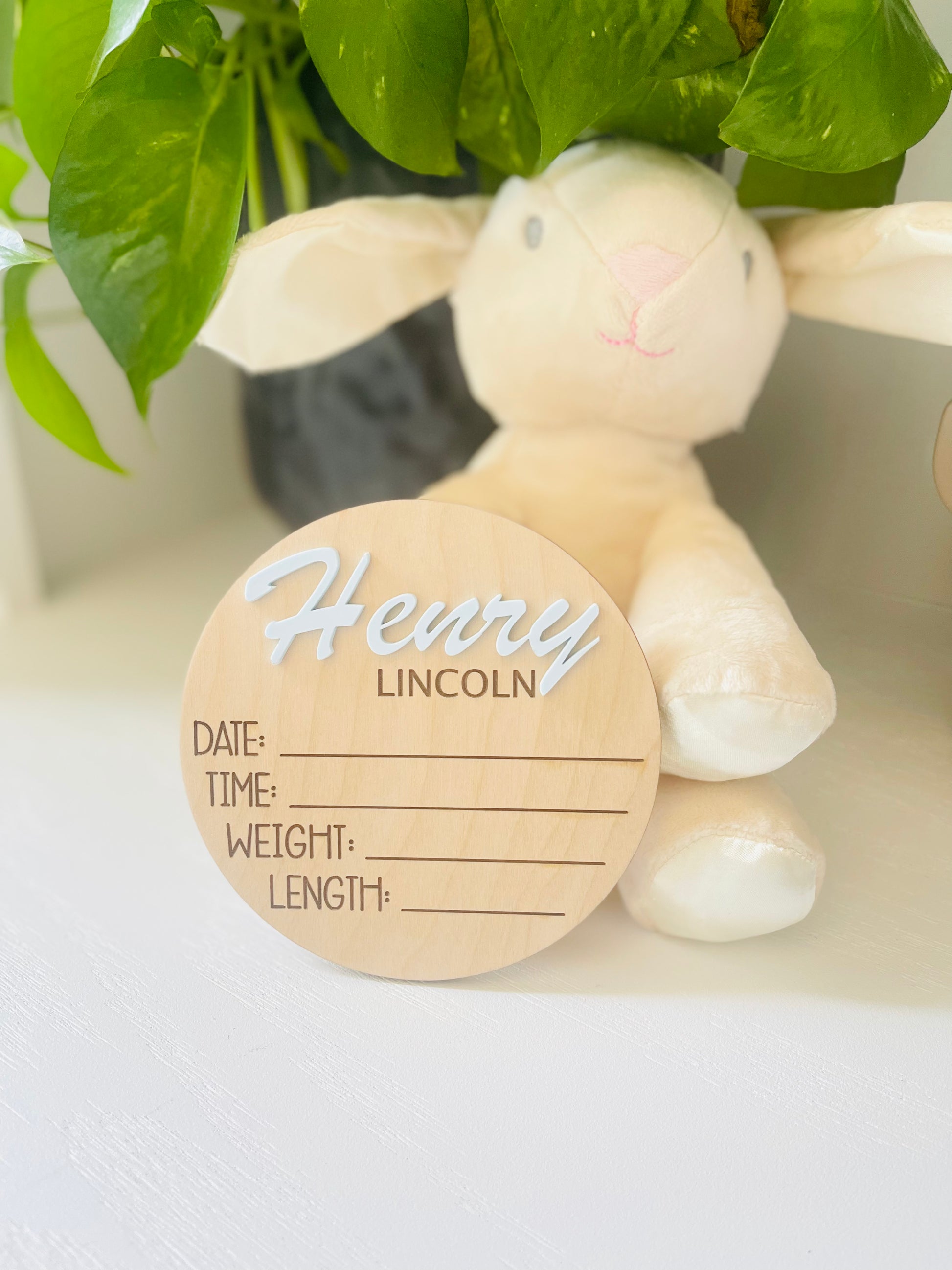 Baby Announcement Sign